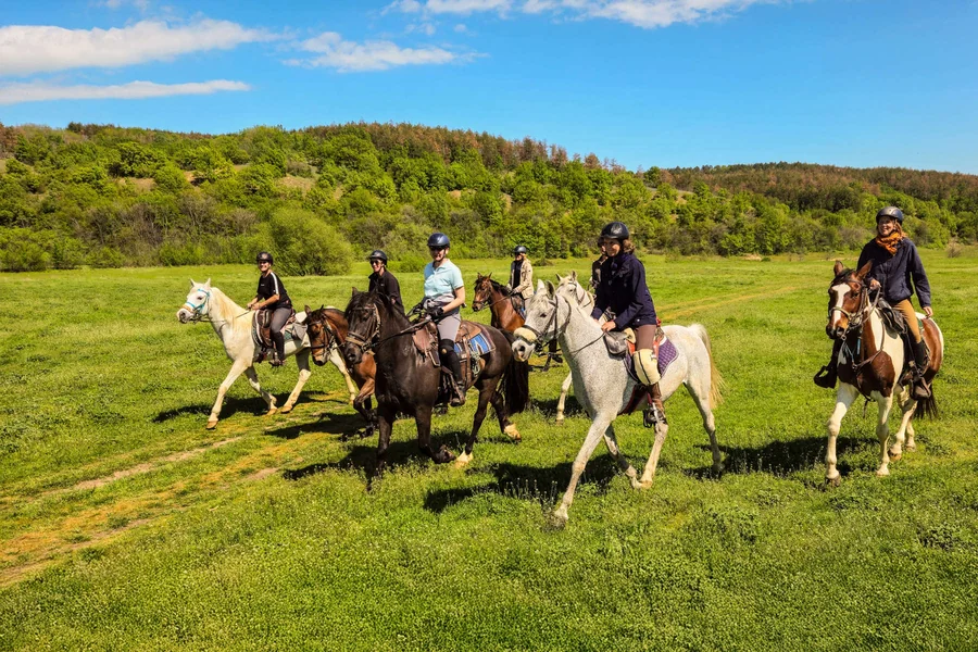 The Growing Popularity of Trail Riding and How to Get Started